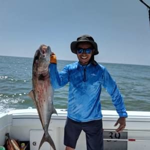 Meet your Posher, Aldo